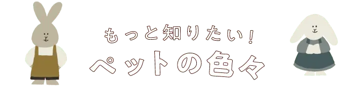 もっと知りたい！ペットの色々