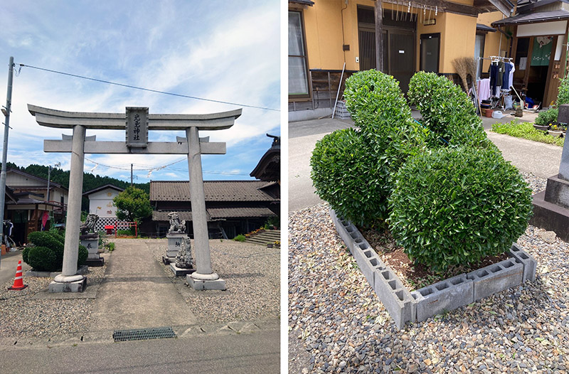 鳥居とうさぎ型の植木