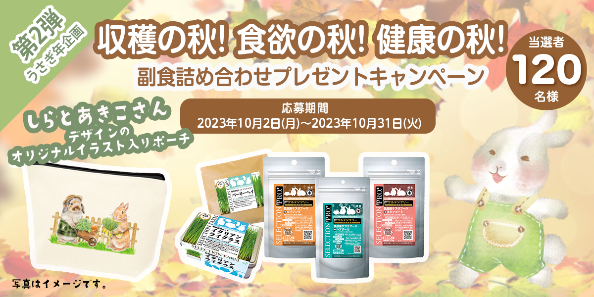 2023年うさぎ年企画第1弾「今年も元気に過ごしてね」副食詰め合わせプレゼントキャンペーン