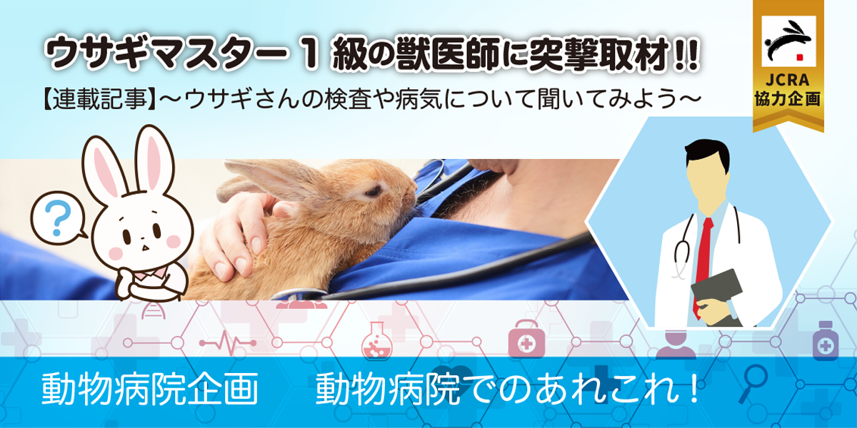 動物病院取材企画