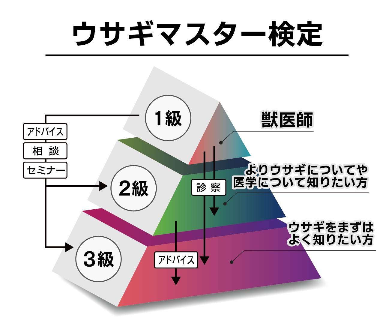 ウサギマスター検定