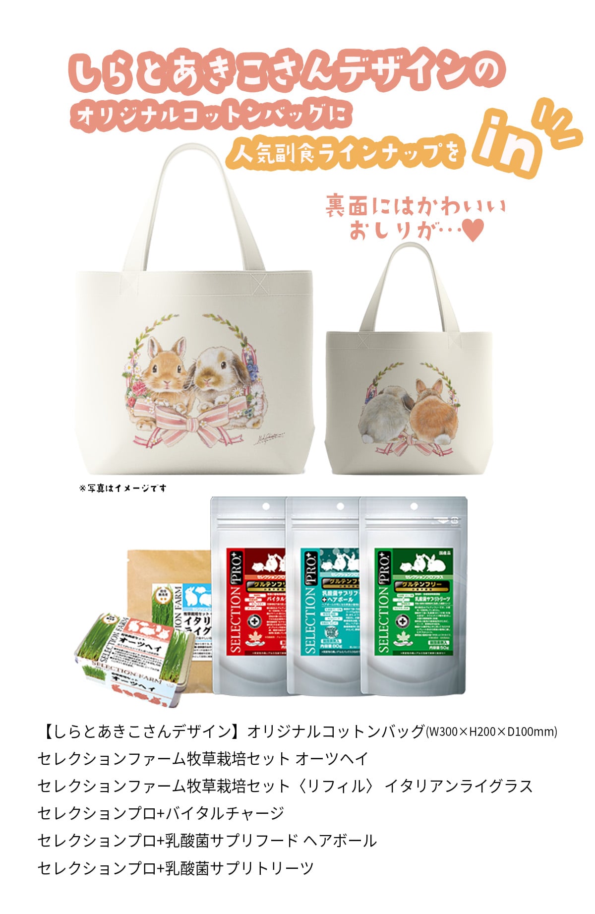 プレゼント内容