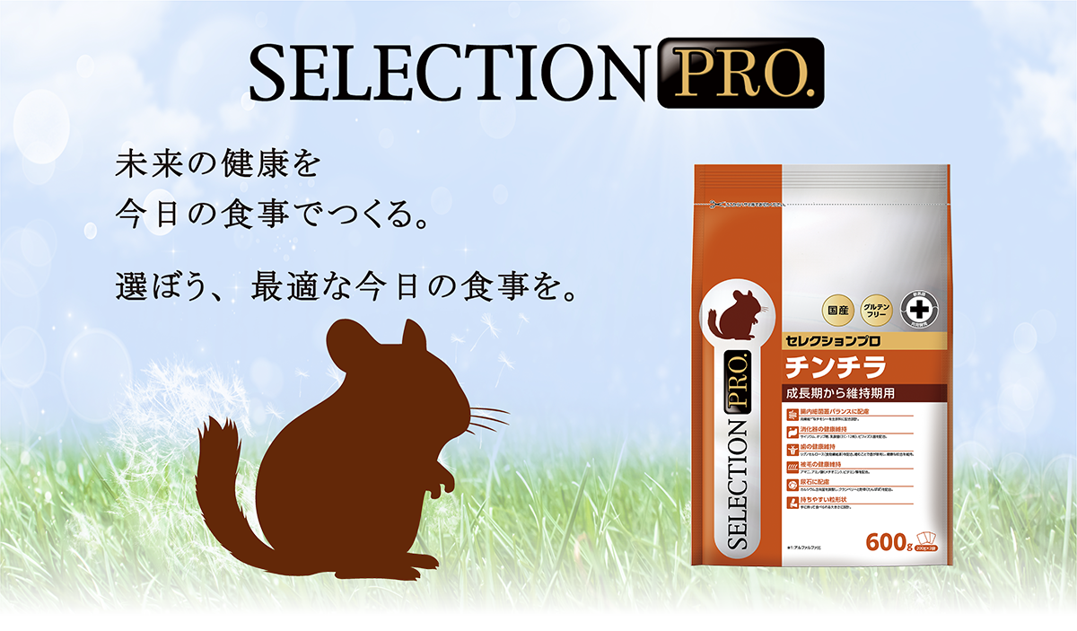 CHINCHILLA SELECTION PRO.｜ブランドサイト ― TOP