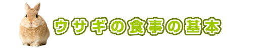 ウサギの食事の基本