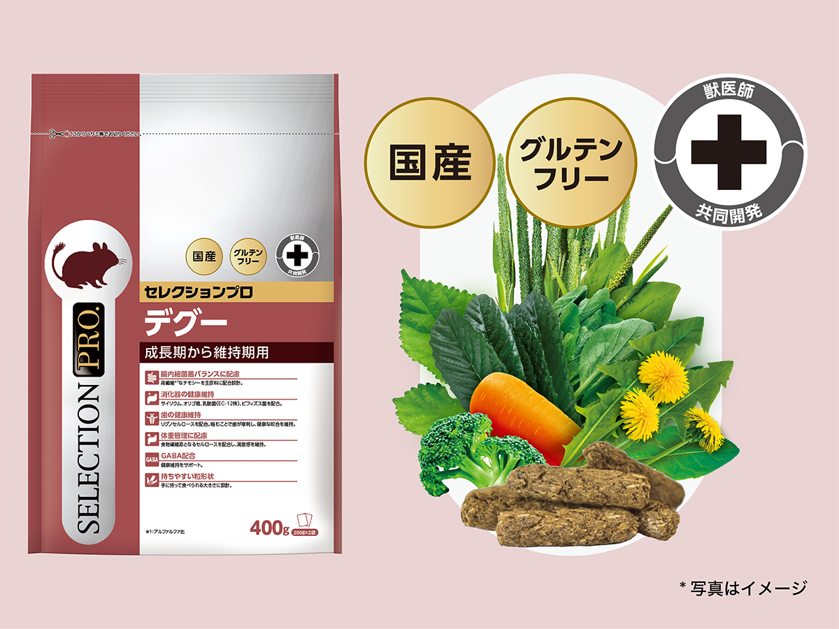 DEGU SELECTION PRO.｜ブランドサイト ― TOP