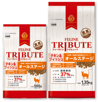 チキン&フィッシュ オールステージ