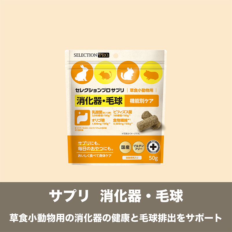 GROUND SQUIRREL SELECTION PRO.｜ブランドサイト ― TOP