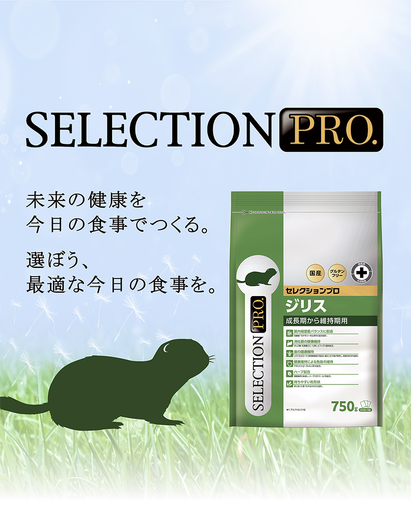 【専用 】ジリスセレクションプロ グルテンフリー 750g×７袋 試供品付き！ ジリスセレクションプログルテンフリー – anicure