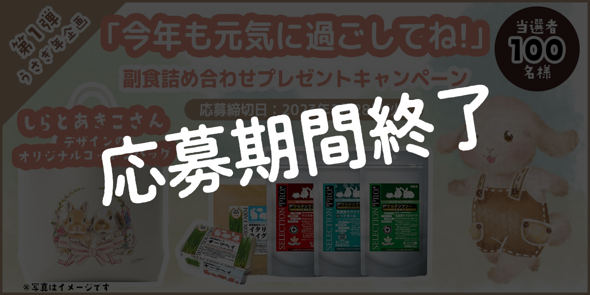 うさぎ年企画第1弾