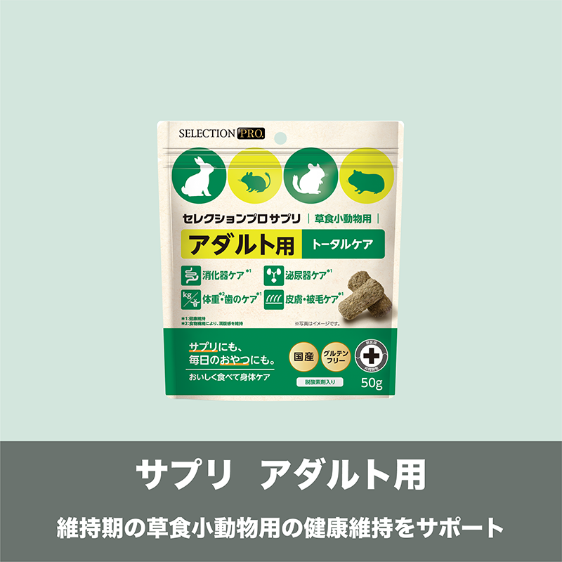 GUINIEA PIG SELECTION PRO.｜ブランドサイト ― TOP