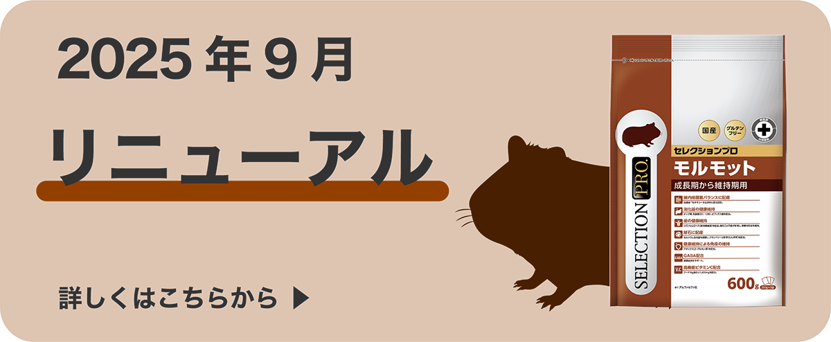 【セール特価】モルモットセレクションプロ 600g×５袋セット 試食品付 モルモットセレクションプロ 600g×5袋セット試食品付き