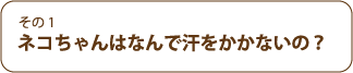 ワンちゃんはなんで汗をかかないの？