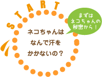 ネコちゃんはなんで汗をかかないの？