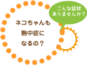 ネコちゃんも熱中症になるの？