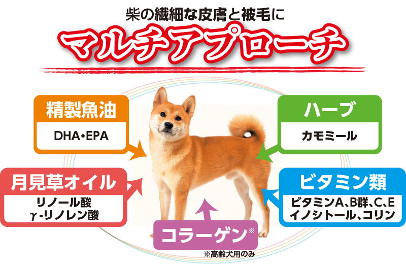 日本犬 柴専用 ｜ イースター株式会社