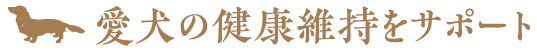 愛犬の健康維持をサポート