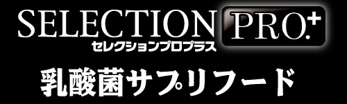 セレクションプロプラス　乳酸菌サプリフード